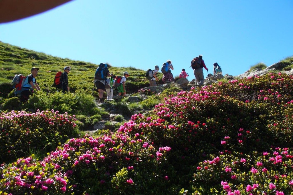 Escursioni in montagna per bambini