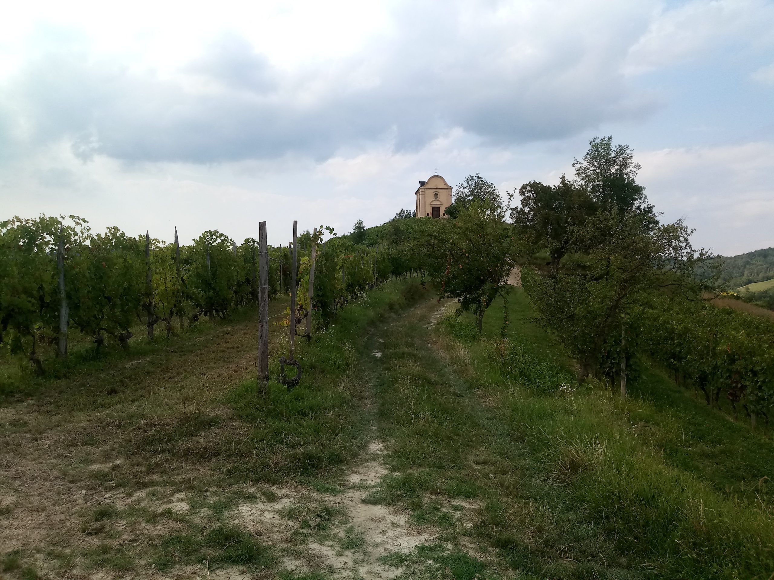 abbazia di vezzolano senitero naturalistico