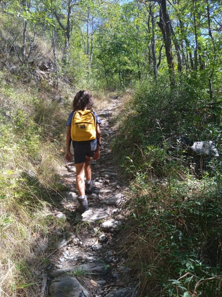 Pian dell’Orso dall’Alpe Fumavecchia
